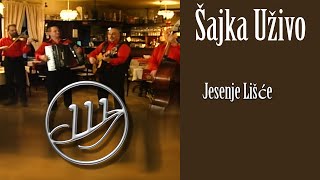 Orkestar Šajka  Jesenje lišće Official Video [upl. by Ydnor327]