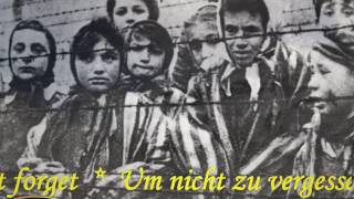 I Nomadi  Auschwitz Canzone del bambino nel vento Cover [upl. by Yelkcub401]