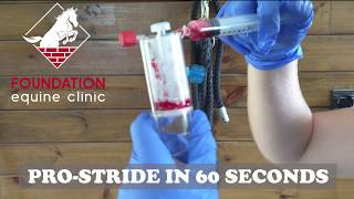 ProStride equine joint injection in 60 seconds [upl. by Eelrebma]