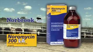 DocTalk  Bovine Leukosis Virus in Cattle 480p [upl. by Ecitsuj641]