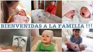 VLOG DIARIO  Los hermanos conocen a las mellizas primer día en casa [upl. by Llerod944]