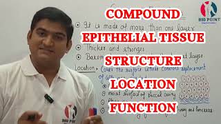 Tissue  Compound Epithelial Tissue Types  Structure  Location  Function  With हिंदी Explanation [upl. by Ehsom]