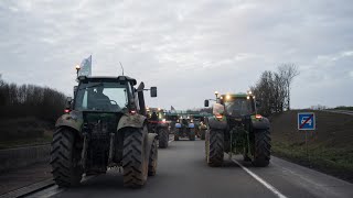 Crise agricole  Mercosur jachères Comment les demandes sontelles perçues à Bruxelles [upl. by Martainn]