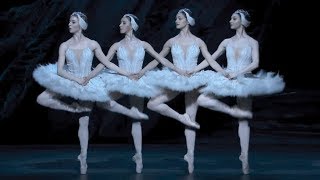 Swan Lake – Dance of the cygnets The Royal Ballet [upl. by Rabma978]