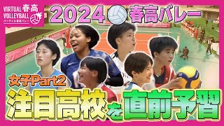 【春高バレー2024】開幕間近！注目高校を直前予習 〜女子Part2〜 [upl. by Ayala504]