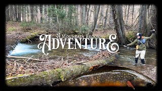 A Mountain Brook Adventure A Potter County Fishing Story [upl. by Buller]