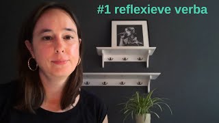 zakelijk Nederlands B2C1 reflexieve werkwoorden reflexive verbs learndutch nt2nederlandsleren [upl. by Yllib]