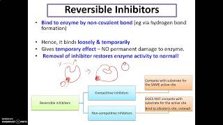 LECTURE CHAPTER 4 BIOCATALYSIS PART 6 [upl. by Ellehsad290]