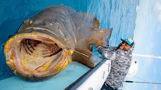 NFL Linesman Catches Massive Fish [upl. by Lusar]