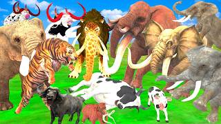 10 Mammoth Elephant Cow vs 10 Giant Tiger Lion Fight Buffalo Cow Bull Gorilla Elephant vs Tiger Lion [upl. by Maffei743]