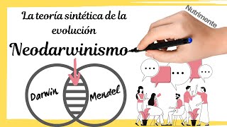 Neodarwinismo  TEORÍA SINTÉTICA de la EVOLUCIÓN [upl. by Donegan465]