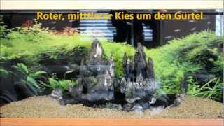 Neueinrichtung 450l Aquarium [upl. by Don]