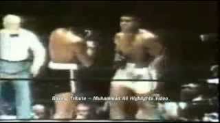 Boxing Tribute  Muhammad Ali  Highlights Video ★★★★★ [upl. by Derman]