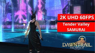 FFXIV Dawntrail Tender Valley SAMURAI GAMEPLAY 48 2kMAX PRESET [upl. by Refennej]