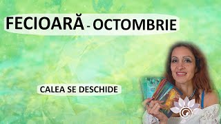 FECIOARĂ OCTOMBRIE Tarot  Calea care se Deschide Zodii de PĂMÂNT  Horoscop [upl. by Nevins]