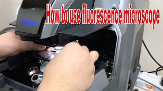 How to use biorevo fluorescence microscope BZ9000 [upl. by Orabel991]