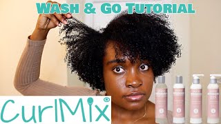 Wash and Go Tutorial Using CurlMix  BEAUTYBYAJ [upl. by Odin149]