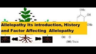 Allelopathy Its introduction History and Factor Affecting Allelopathy [upl. by Einohtna]