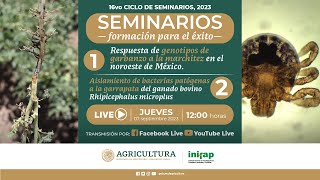 Seminarios formación para el éxito Edición 16 [upl. by Annis19]