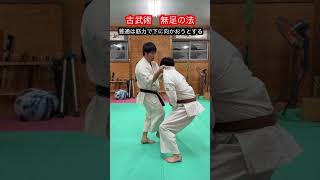 【古武術】より速く強く動けるようになる足の使い方 無足の法！！ aikido ＃karate martial 武道 ＃空手＃筋トレselfdefens＃柔道 [upl. by Rayburn899]