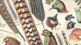 Olivier Messiaen 19081992 Messiaens use of birdsong [upl. by Romona]