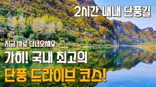 국내 최고의 가을 단풍 드라이브 코스를 소개합니다 2시간 내내 단풍을 만끽하세요 강원도 정선 드라이브 정선여행 추천 [upl. by Alesiram]