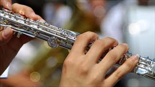 Happy Flute Ringtone  Ringtones for Android  Instrumental Ringtones [upl. by Maurey522]