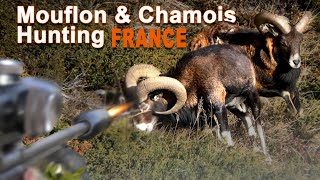 Mouflon amp Chamois Hunting in France  Chasse au Mouflon et Chamois en France  2021 [upl. by Kuehnel484]