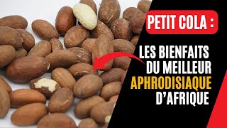 TOUT SAVOIR SUR LE PETIT COLA LAPHRODISIAQUE LE PLUS EFFICACE DAFRIQUE [upl. by Fairman]