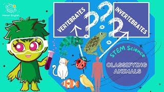 Classifying Animals  KS1 Science  STEM and Beyond [upl. by Nesyt]