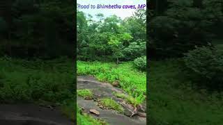 Road to Bhimbetka caves MP PMH Studio shorts travel [upl. by Atekahs]