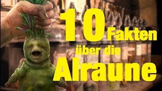 10 FAKTEN über die ALRAUNE 🌿 [upl. by Aremus]