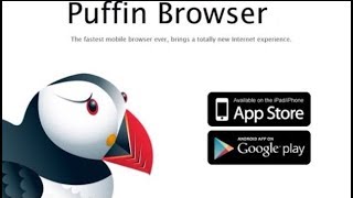 Puffin Browser  Simple Way to Play Flash on iOS Devices [upl. by Ailaro917]