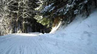 SANKANJE SLEDDING STORŽIČ TRŽIČ [upl. by Hermine936]