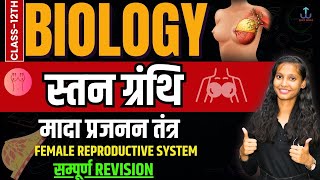 अध्याय3 मानव जनन कक्षा 12  स्तन ग्रंथियां  Mammary Glands  जीव विज्ञान  NCERT  UPBIHAR BOARD [upl. by Aidnis]