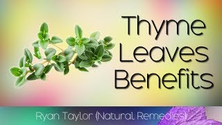 Thyme Leaves Benefits and Uses [upl. by Seuqramed216]