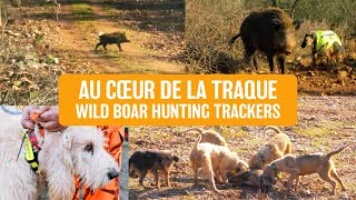 Dans la traque 🌳🐗 Wild boar hunting  Lappel du sanglier [upl. by Enelyam467]