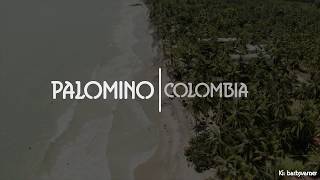 Palomino La Guajira  Colombia 4K [upl. by Eyks100]