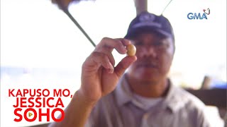 Kapuso Mo Jessica Soho Mangingisda nakapulot daw ng mamahaling perlas [upl. by Fowle739]