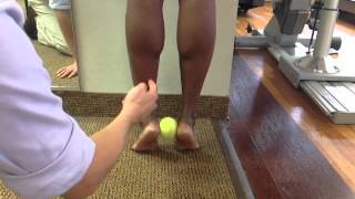 Posterior tibialis strength closed chain double limb [upl. by Pepito]