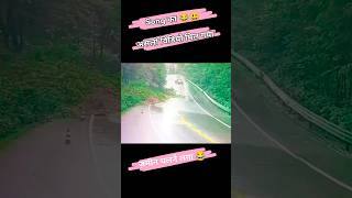 असली वीडियो मिल गया इस गाने का😂🥳🤣nature song original video flood forest road travel shorts [upl. by Det401]