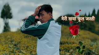 Meri Maya Phool Jasti  Ft  Tanka Limbu  Cover Video [upl. by Thurber583]