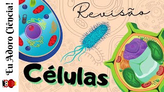 CITOLOGIA  Revisão Célula [upl. by Oirevlis839]