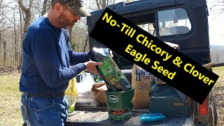 Overseeding NoTill Chicory and Clover Food Plots [upl. by Riegel]