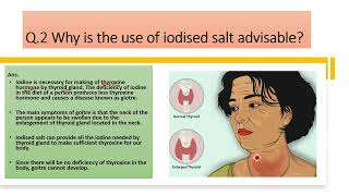 Why is the use of iodised salt advisable [upl. by Dragde]