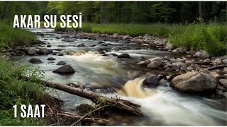 Akarsu Sesi🏞  Irmak Nehir Sesi💦 1 Saat [upl. by Anaiv]