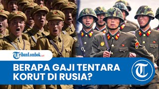 Bantu Rusia di Medan Perang Tentara Korut DiimingImingi Gaji Besar [upl. by Currier]