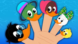 Duck Finger Family  Nursery Rhymes For Kids [upl. by Neirad]