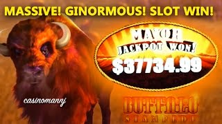 3773499 BUFFALO STAMPEDE SLOT MAJOR PROGRESSIVE WIN  MASSIVE WIN  Slot Machine Bonus [upl. by Leupold]