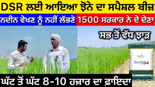 Savana Full Page Paddy Varieties  Sava 134 amp Sava 127 Full page paddy Variety for DSR … [upl. by Kavita]